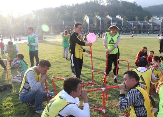 桃园市五星级型户外企业培训